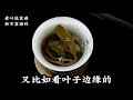 原创作品 普洱茶 茶生活 召唤茶友 今天你喝茶了吗