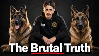 Is a German Shepherd Right for You? (The Harsh Reality)