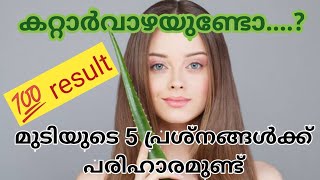 മുടിയുടെ പ്രശ്നങ്ങൾക്ക് ഹെയർ മാസ്‌ക്കുകൾ | aloe vera hair masks | hair care malayalam