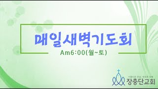 2020.8.13(목) 매일의 말씀묵상