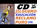 jilguero chardonneret goldfinch cd to educate goldfinch singing