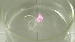 Comparing the Alkali Metals