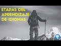 Etapas del aprendizaje de idiomas