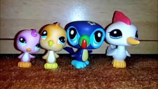 Littlest Pet Shop  Moje LPS zbírka