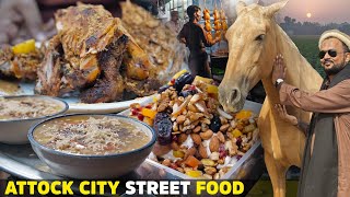 Street Food of Attock, Expensive Horses at Madrota Village | Sajji, Fruit Chat ft @foodienoor