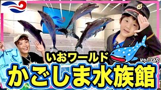 ジンベエザメに会ってきた🐟水族館で本格フレンチが食べられる⁉️【ママさん似顔絵師Bon vol.265】