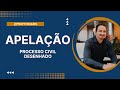 Apelação | Processo Civil Desenhado