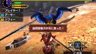 【MHX】 体験版 中級 ホロロホルル討伐 太刀/ブシドースタイル