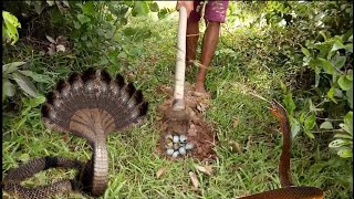 Electric Fan Guard Snake Trap To Catch Huge Snake By A Smart boy Khmer