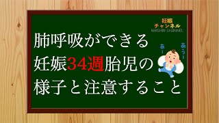 【妊娠34週】肺呼吸ができる✨妊娠34週胎児の様子とこの時期に注意すること