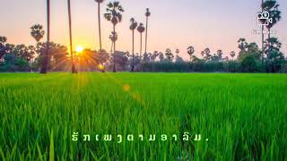 เสียงแคนจากแมนชั่น ดอกอ้อ ทุ่งทอง [COVER VERSION]