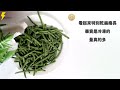 家樂福 冷凍四季豆 carrefour frozen green beans