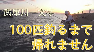 【武庫川一文字】１００匹釣るまで帰れません!?【武庫川渡船】