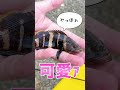 堤防で釣れない時みんなどうしてる？【奥の手】