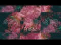 say she she prism full album stream