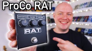 Proco RAT Distortion | History & Comparison