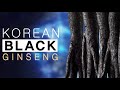 geumheuk korean black panax ginseng capsule 1000mg