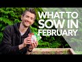 What To Sow in February | Grow Your Own Vegetables | What to Sow in Late Winter