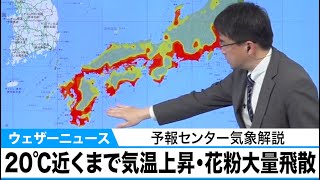 【花粉大量飛散のおそれ】20℃近くまで気温上昇　予報センター気象解説