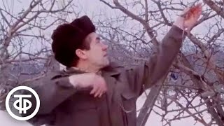 Подготовка к зиме: обрезка плодовых деревьев. Наш сад (1983)