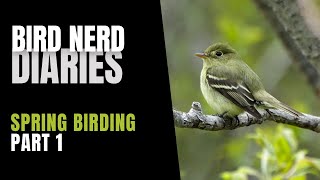 Spring Birding Part 1 of 2 | Bird Nerd Diaries