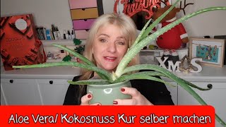 Aloe Vera/Kokosöl Haarkur selber machen DIY