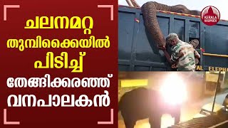 Tamil Nadu Forest Ranger's Tearful Goodbye To Elephant In Heart-Wrenching Video | Keralakaumudi