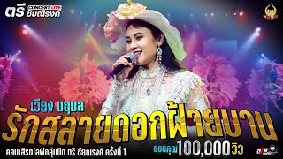 รักสลายดอกฝ้ายบาน  @เวียง นฤมล คอนเสิร์ตไลฟ์กลุ่มปิด ตรี ชัยณรงค์ ครั้งที่.1