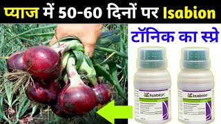 Syngenta Isabion Tonic | प्याज की खेती | Plant टॉनिक ईसाबियॉन | Onion | PGP \u0026 PGR |advance agri.