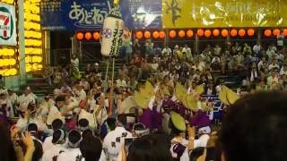 徳島県・阿波踊り(ニッセイ連) Travel Japan-Tokushima Awa Dance Festival