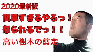 イメージが大切っ！高木剪定、倍速で丁寧に解説。