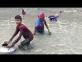 গ্রামের বাড়িতে পুকুর সেচ দিয়ে মাছ ধরা ii lots of fishing from water pond village to bangladesh