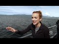 whale watching boat tour in juneau alaska