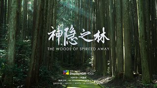 【4K HDR】极致沉浸体验：迷失神隐之林 | ultimate immersion experience: The woods of spririted away | 8K SSAA