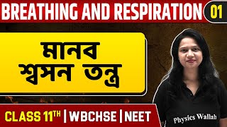 BREATHING AND RESPIRATION 01 | মানব শ্বসন তন্ত্র | Zoology | Class 11/NEET/WBCHSE