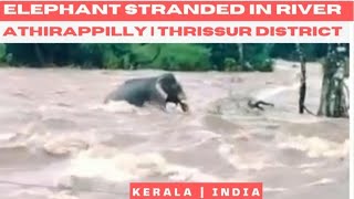 ഒഴുക്കിൽ പെട്ട ആന രക്ഷപ്പെട്ടു | Elephant stranded \u0026 escaped Athirappilly | Kerala Travel Directory