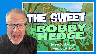 The Sweet Bobby Hedge - How to Hedge Your Portfolio against a Black Swan Event