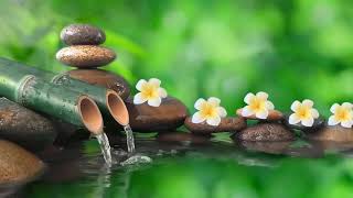 Healing music BGM- Quiet piano songs, Relaxing music with the sounds of nature Bamboo Water Fountain