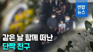 빈소도 같이 슬픔도 함께…마지막 길도 함께한 단짝 친구 / 연합뉴스 (Yonhapnews)