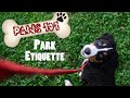 PAWS 101:  Park Etiquette For Pets