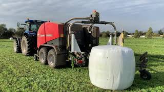 Bolos de Silo de Alfalfa