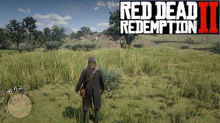 Red Dead Redemption II PC - Herbalist 9: 38 of 43 species of herb picked - Chapter 6: Beaver Hollow