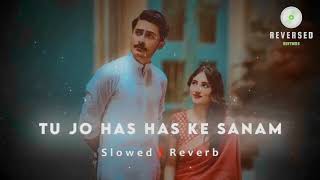 Tu Jo Has Has Ke Sanam | slowed x reverb | Raja Bhaiya 2003 | Udit Narayan, Govinda