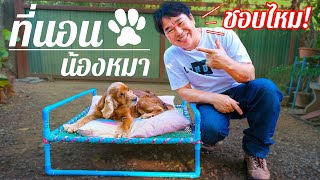 ที่นอนน้องหมา เตียงนอนน้องหมา 🐶 ทำจากท่อ PVC แบบง่ายๆ💥 (งานช่างสัมปะปิ EP.50)