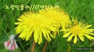 노랑민들레//이연실노래 //오카리나김혜선