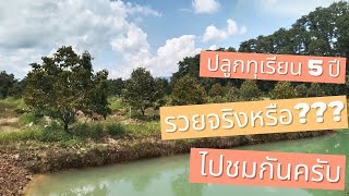 EP.14 | ปลูกทุเรียน 5 ปี รวยจริงหรือ??? ไปชมกันครับ