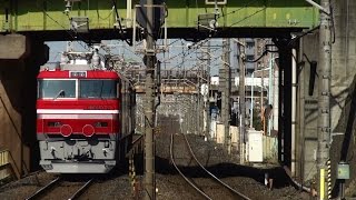 2015年 2月27日　甲9171レ 青函トンネル 交流電気機関車 EH800-8号機