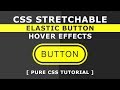 CSS Stretchable Elastic Button Hover Effects - Css Hover Effects - Pure CSS Tutorials