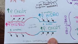 Distúrbios hemodinâmicos MAPA MENTAL