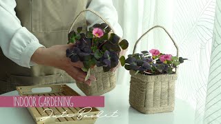 Jute string basket: flower basket, air purifying plant, basket DIY, bulb root: plastic recycling